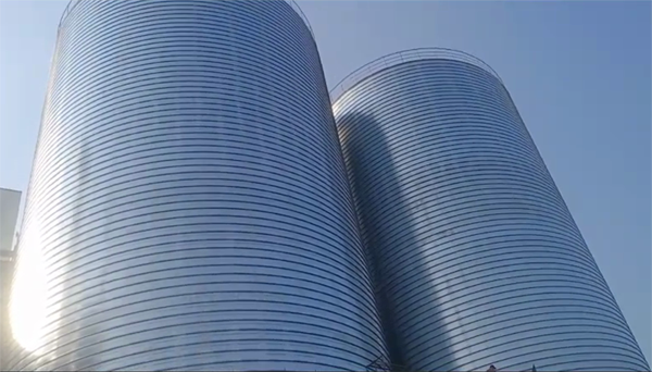 合江2座混凝土高架卷板仓